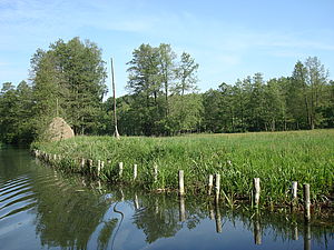 Wiesen, Fließe und ein Heuschober sind Teil der Kulturlandschaft Spreewald (Foto: Archiv des Biosphärereservats Spreewald)